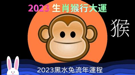 2023猴年運程1992 招財樹